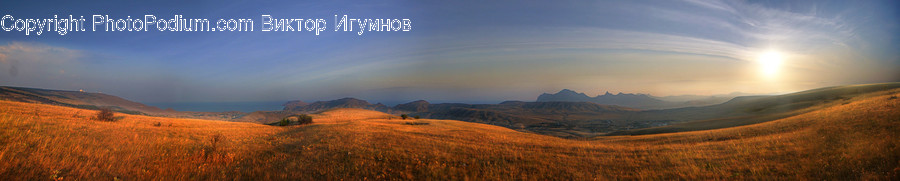Field, Grass, Grassland, Land, Outdoors