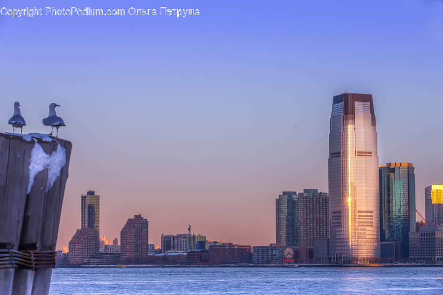 City, Downtown, Metropolis, Urban, Building