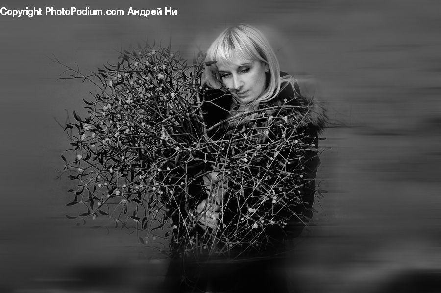 People, Person, Human, Blonde, Female, Woman, Portrait