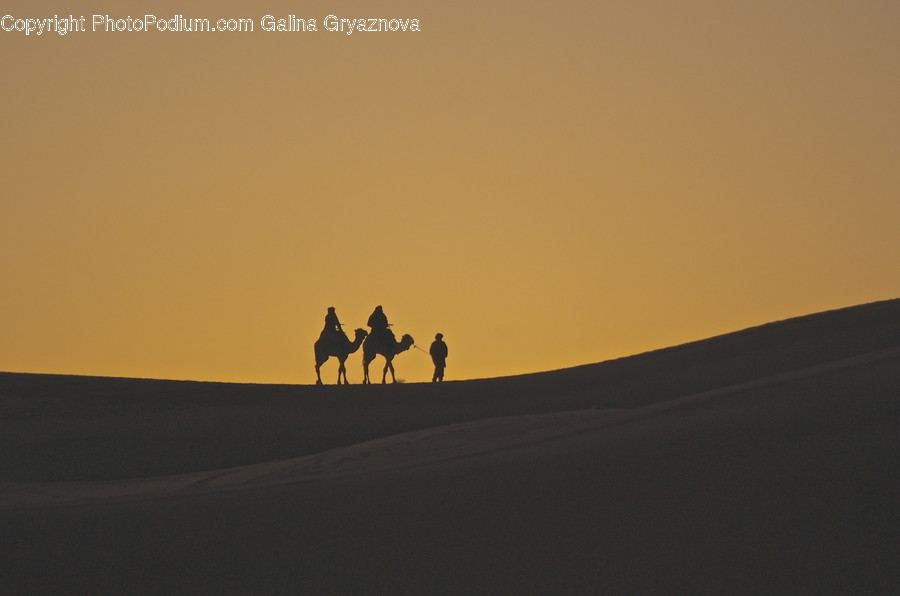 Desert, Outdoors