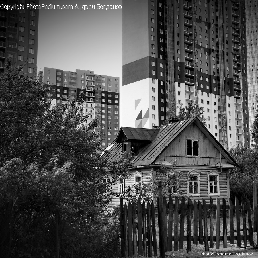 City, Downtown, Urban, Neighborhood, Town