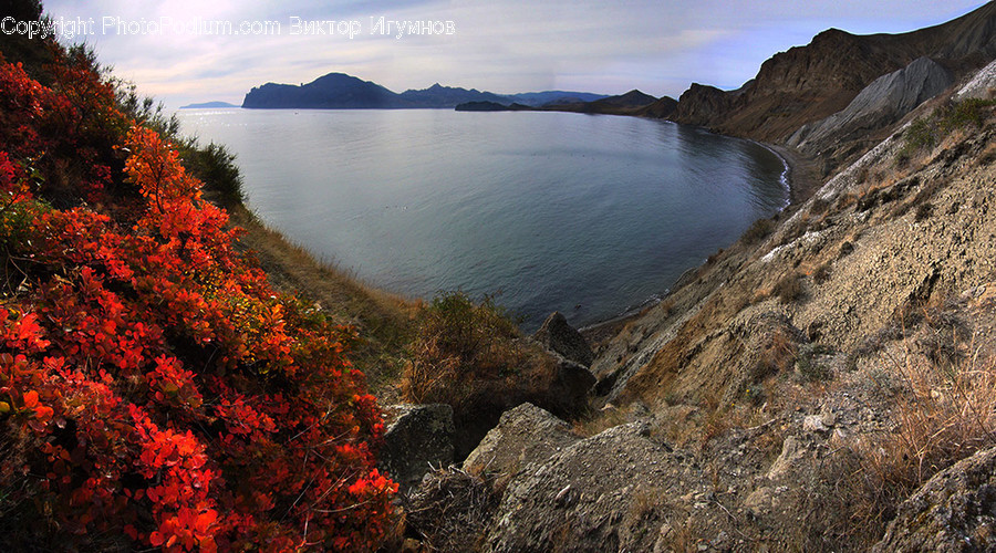 Coast, Outdoors, Sea, Water, Cliff