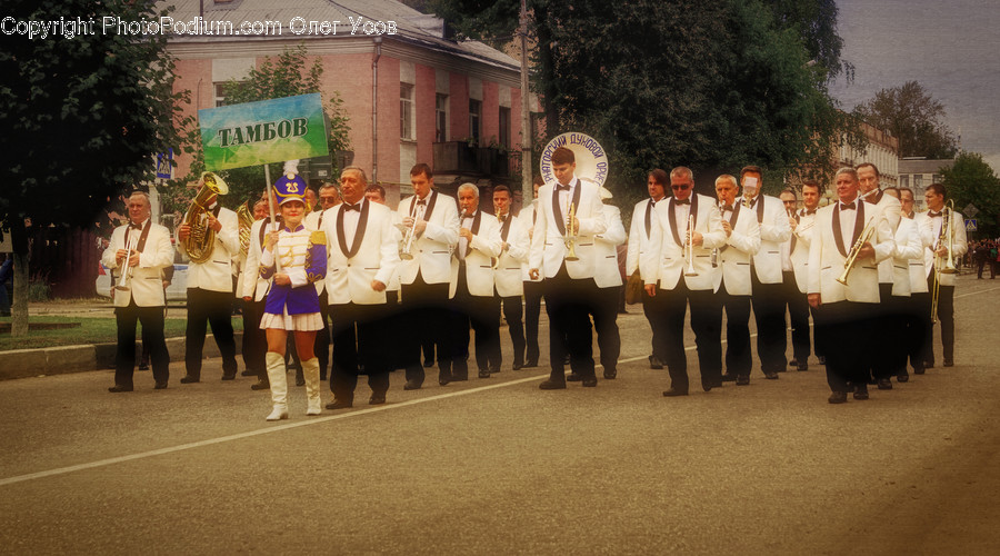 People, Person, Human, Brass Section, Cornet