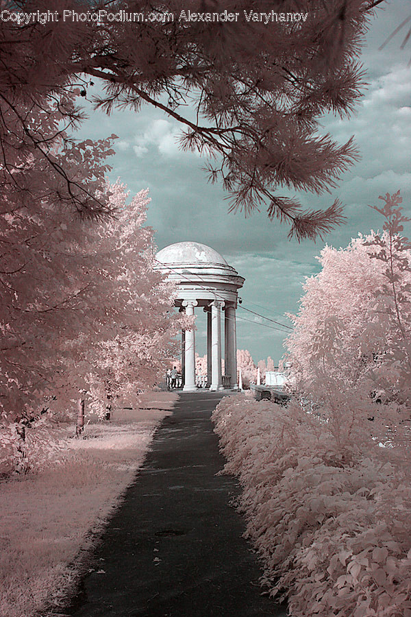Blossom, Cherry Blossom, Flower, Gazebo, Flora