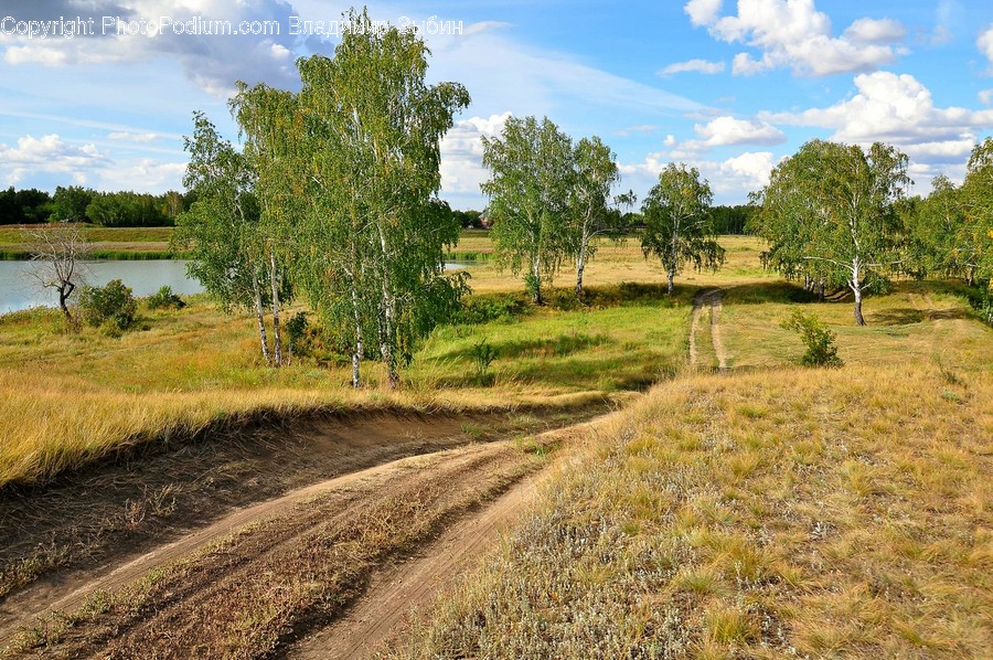 Dirt Road, Gravel, Road, Landscape, Nature