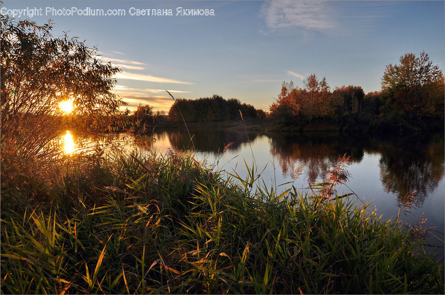 Field, Grass, Grassland, Plant, Lake