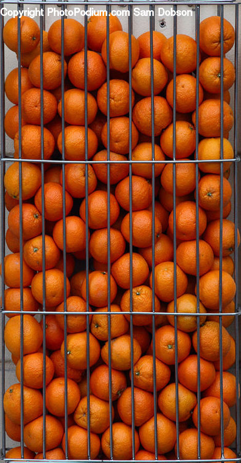 Fruit, Persimmon