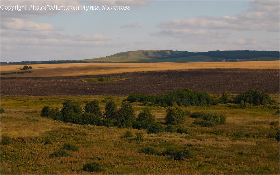 Field, Grass, Grassland, Land, Outdoors