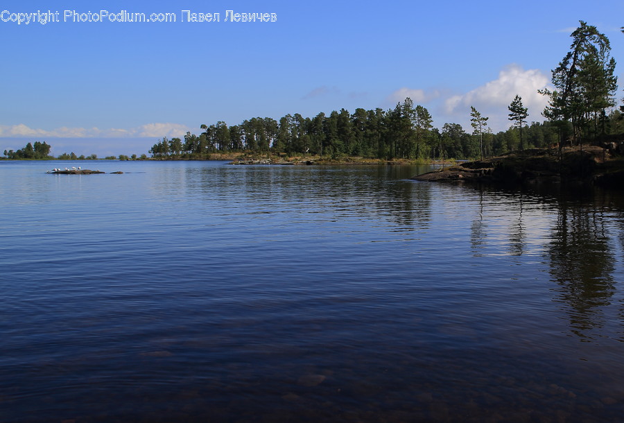 Lake, Outdoors, Water, Field, Grass