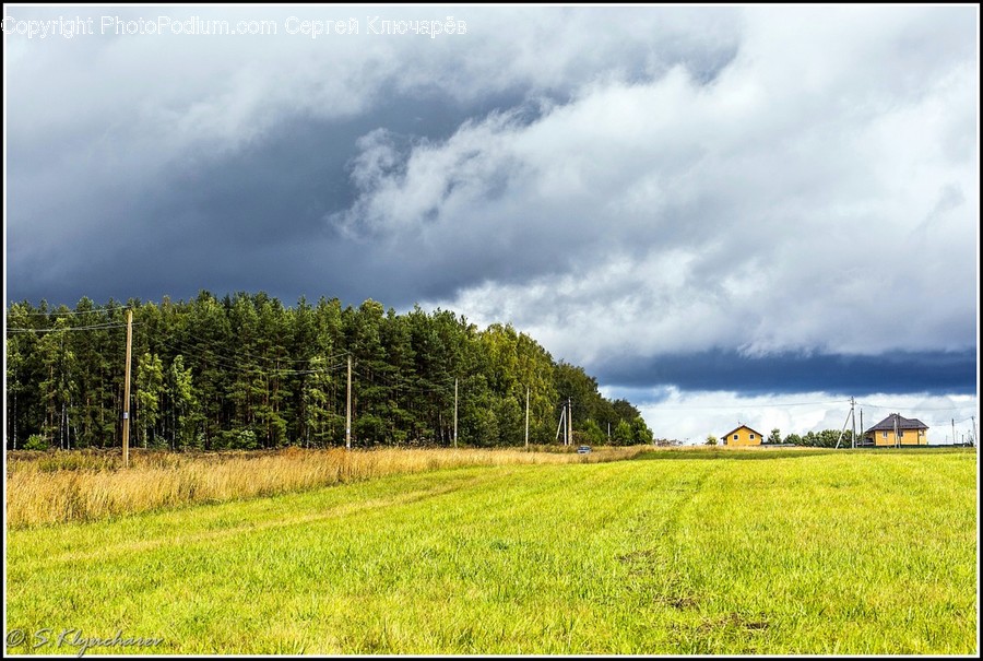 Field, Grass, Grassland, Land, Outdoors