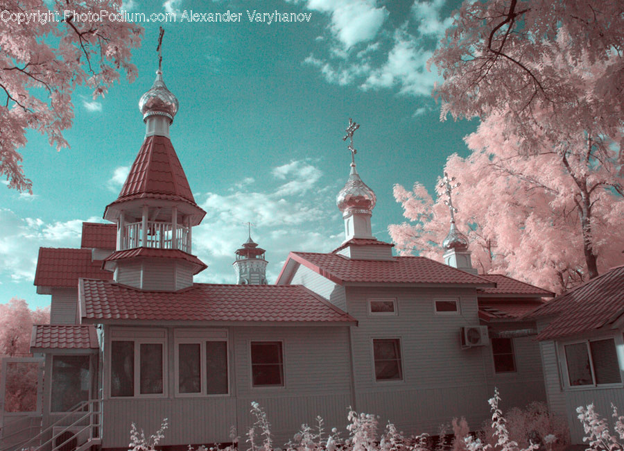 Blossom, Cherry Blossom, Flower, Architecture, Bell Tower