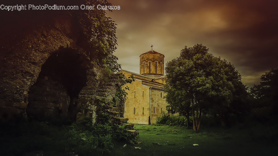 Architecture, Bell Tower, Clock Tower, Tower, Plant
