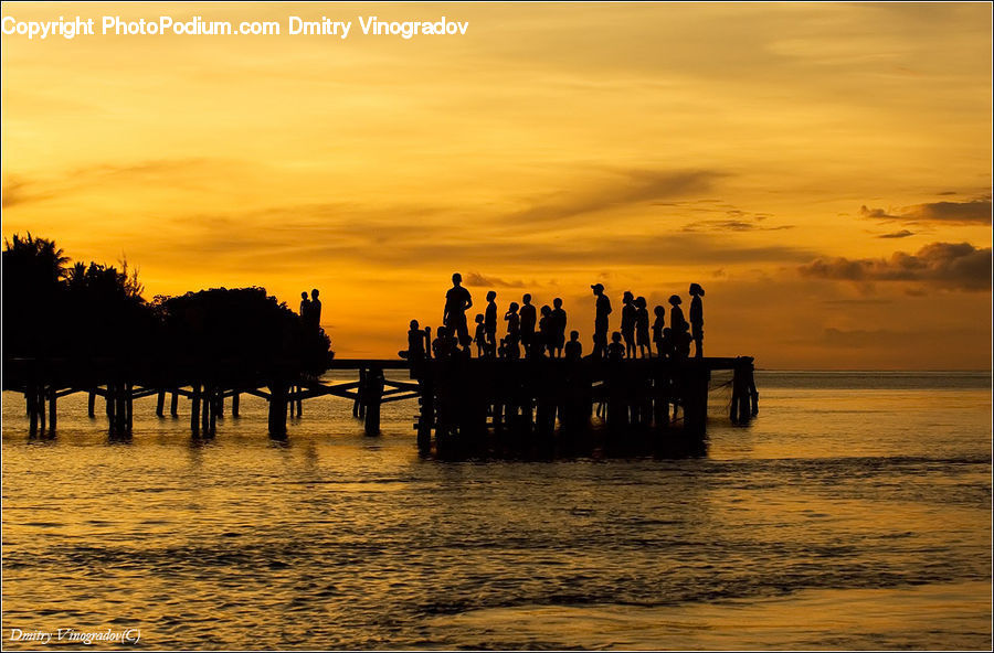 Silhouette, Animal, Horse, Mammal, Dock, Landing, Pier