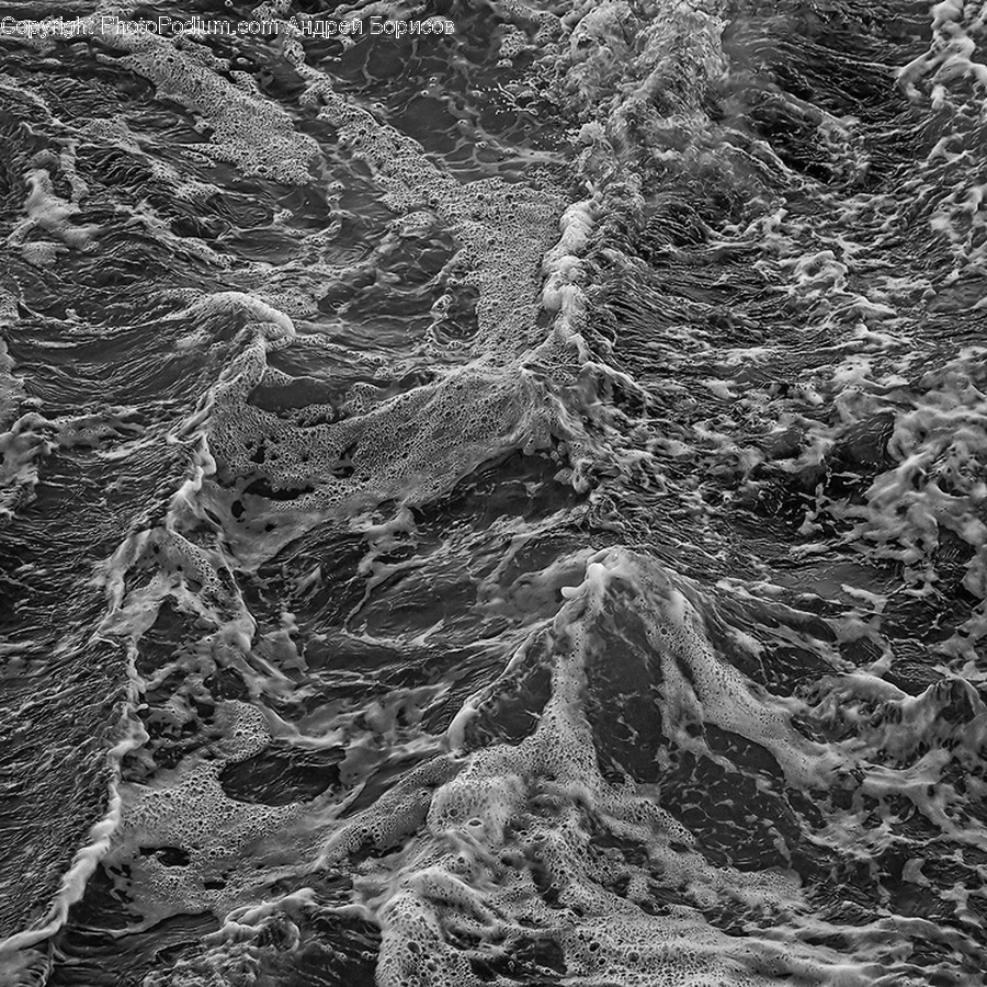Root, Frost, Ice, Outdoors, Snow