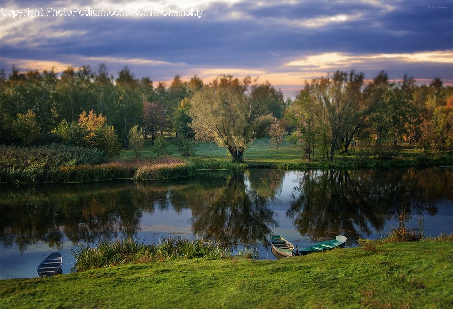 Nature, Outdoors, Field, Grass, Grassland