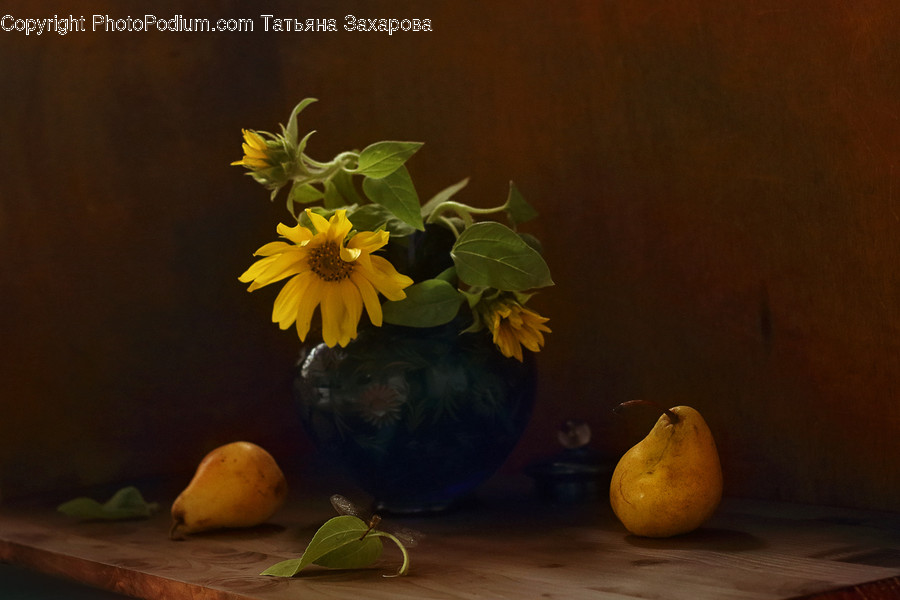 Fruit, Pear, Citrus Fruit, Grapefruit, Acanthaceae