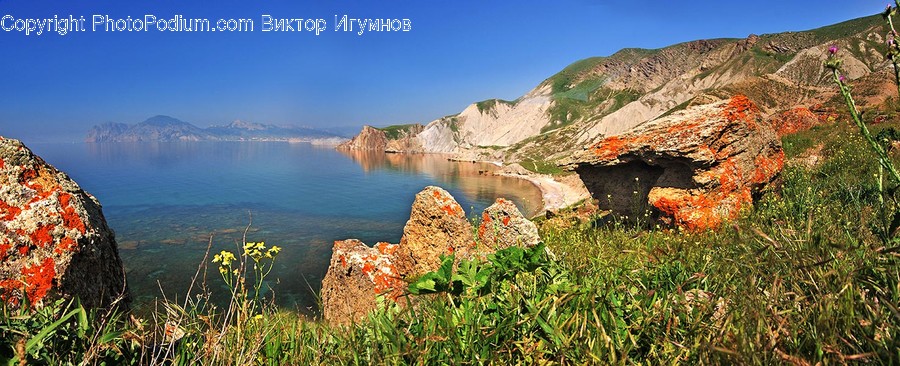 Bunker, Cliff, Outdoors, Blossom, Flora