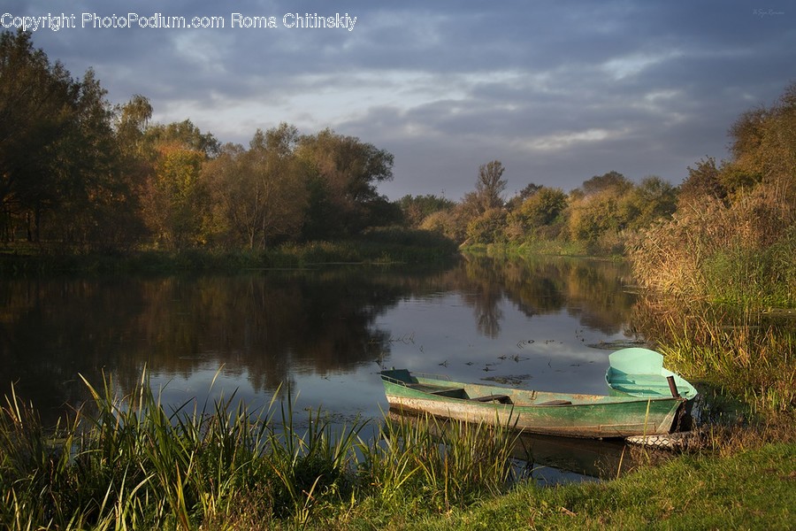 Boat, Rowboat, Vessel, Grass, Plant