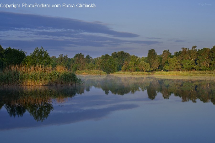 Lake, Outdoors, Water, Land, Marsh