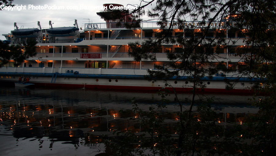 Plant, Potted Plant, Cruise Ship, Ocean Liner, Ship, Vessel, Building