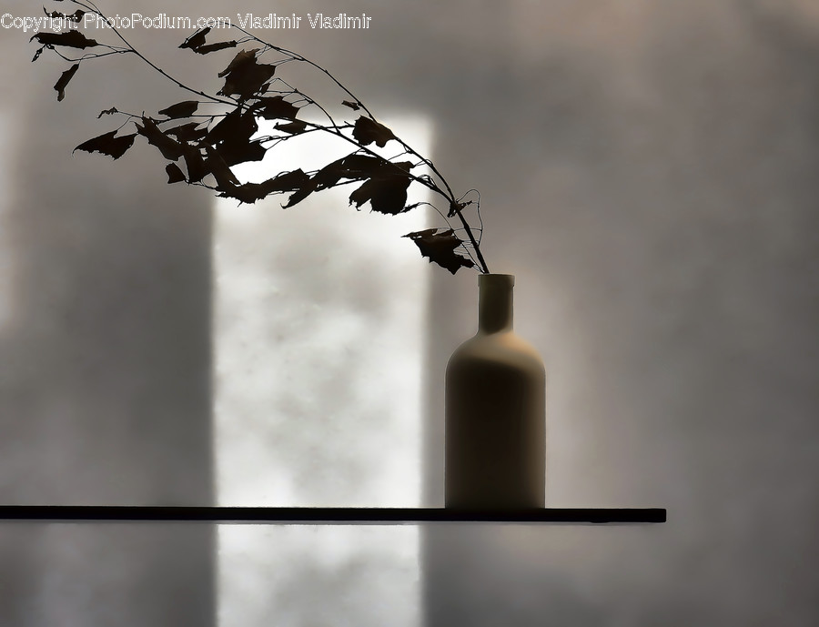 Bottle, Bird, Blackbird, Crow, Silhouette