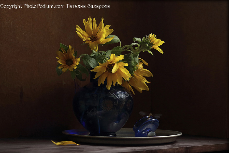 Flower Arrangement, Ikebana, Plant, Potted Plant, Vase