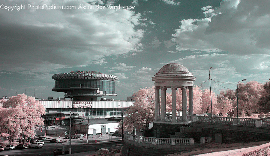 Arena, Blossom, Cherry Blossom, Flower, Flora