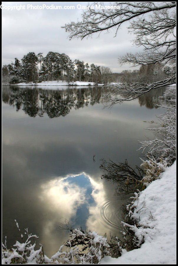 Ice, Outdoors, Snow, Land, Marsh, Pond, Swamp