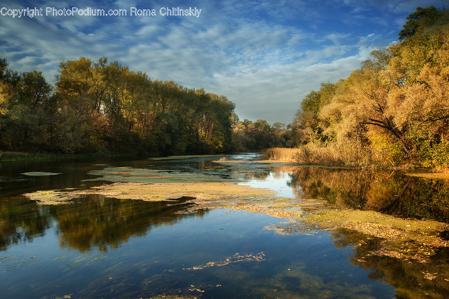 Outdoors, River, Water, Land, Marsh