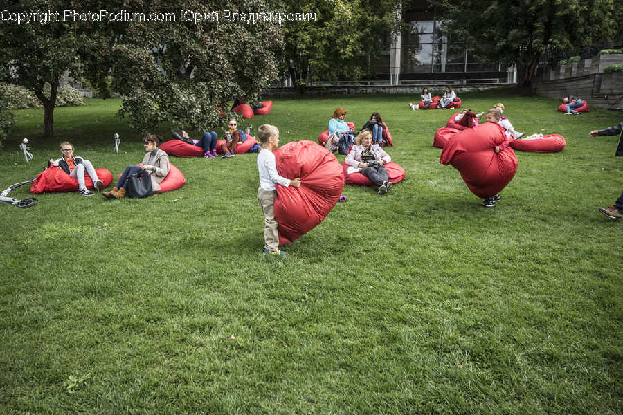People, Person, Human, Picnic, Field