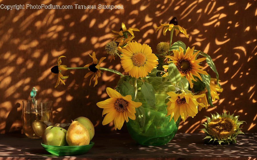 Blossom, Flora, Flower, Plant, Sunflower
