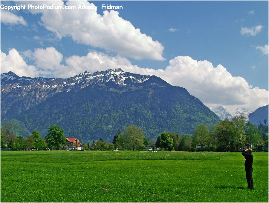 Field, Grass, Grassland, Land, Outdoors, Countryside, Meadow