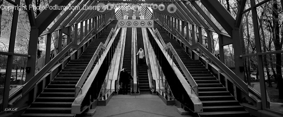 Bridge, Banister, Handrail, Staircase, Architecture