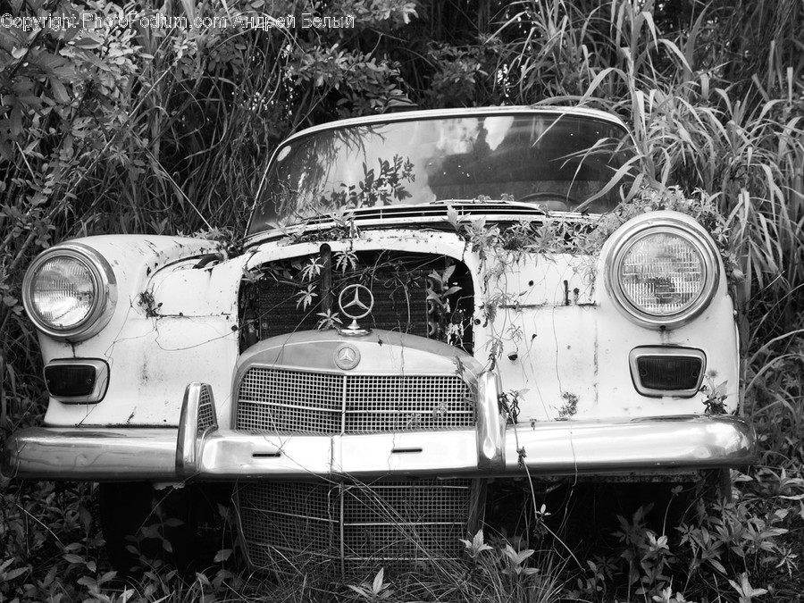 Automobile, Car, Sedan, Vehicle, Transportation