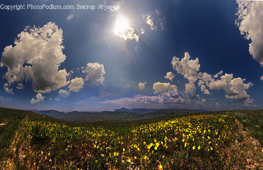 Azure Sky, Cloud, Outdoors, Sky, Cumulus