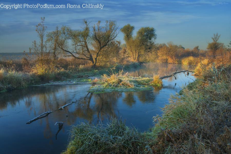 Land, Marsh, Pond, Swamp, Water