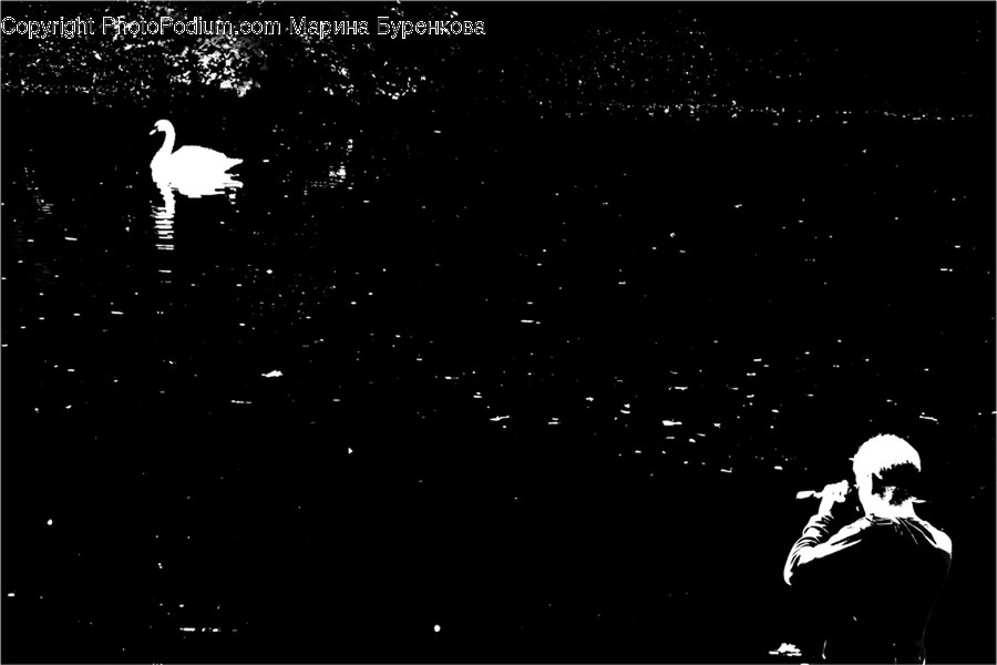 People, Person, Human, Silhouette, Nebula