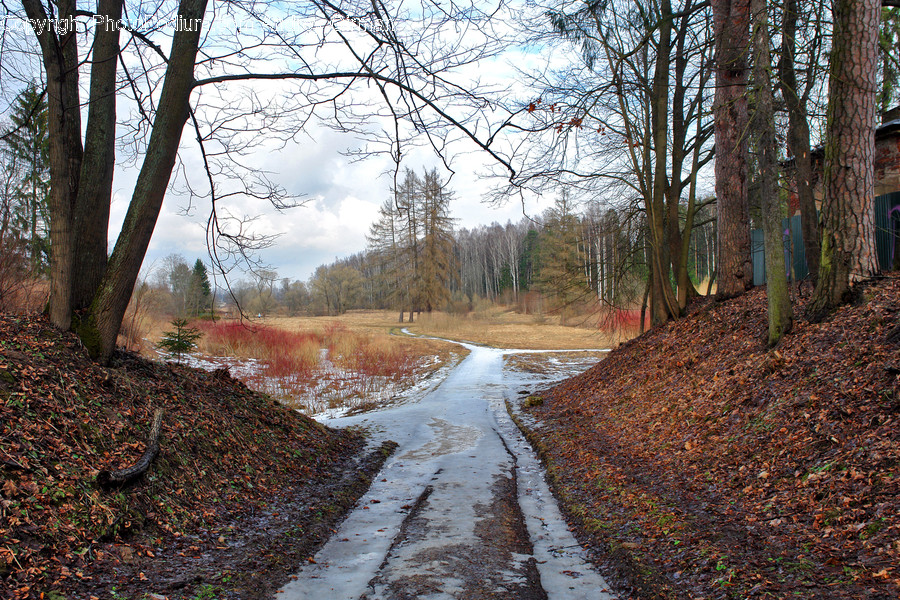 Dirt Road, Gravel, Road, Path, Walkway