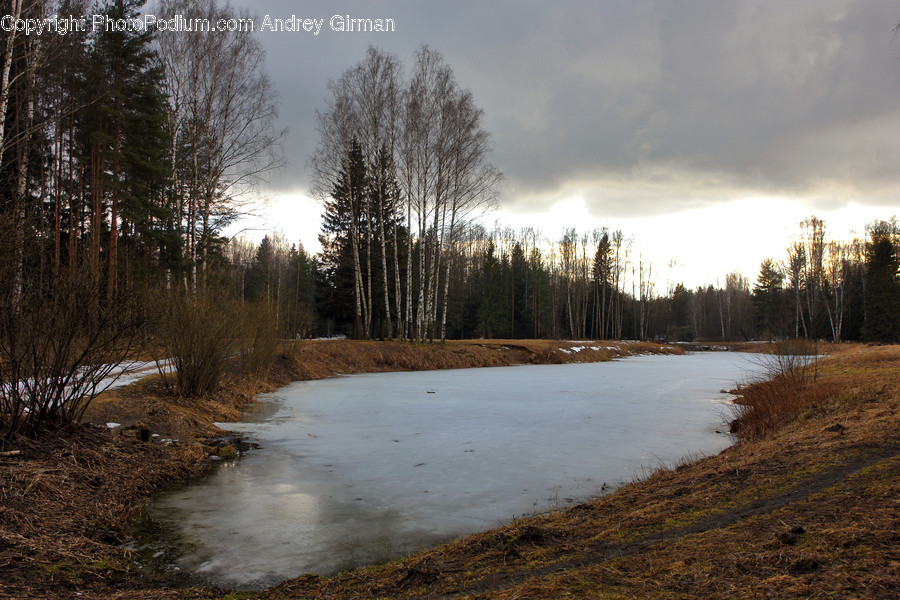 Dirt Road, Gravel, Road, Land, Marsh