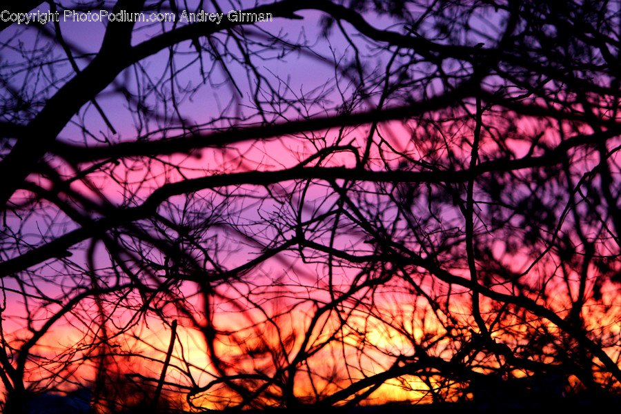Dusk, Outdoors, Sky, Sunlight, Sunrise