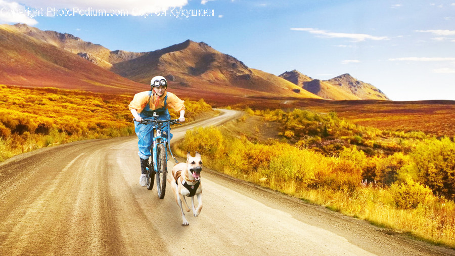 People, Person, Human, Bicycle, Bike