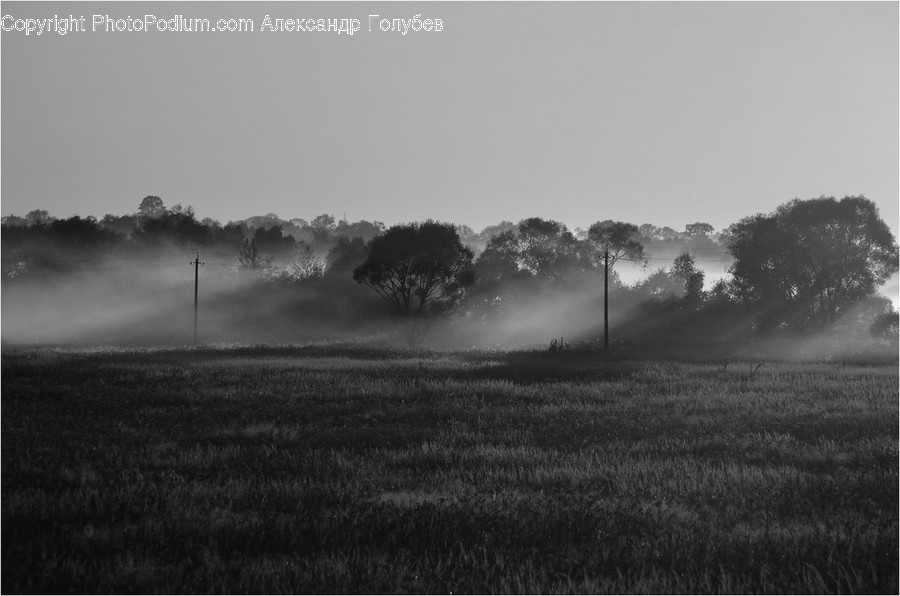 Countryside, Outdoors, Field, Fog, Grass