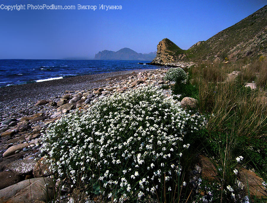 Coast, Outdoors, Sea, Water, Pebble