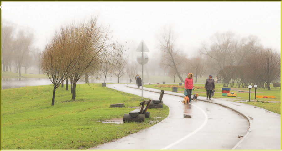 Dirt Road, Gravel, Road, Exercise, Fitness, Jogging, Fog