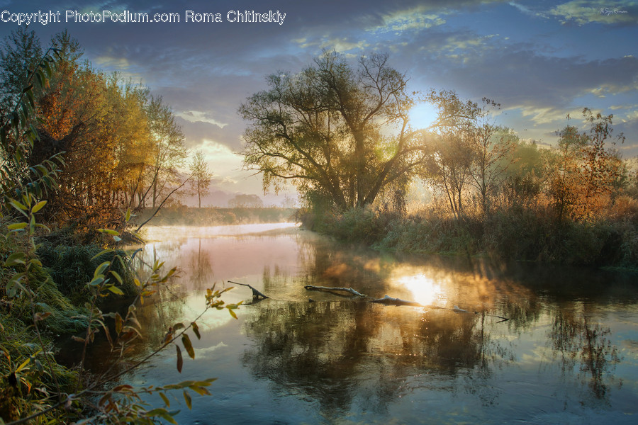Water, Flood, Land, Marsh, Pond
