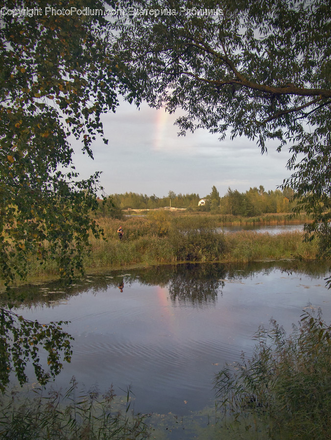 Outdoors, Pond, Water, Land, Marsh