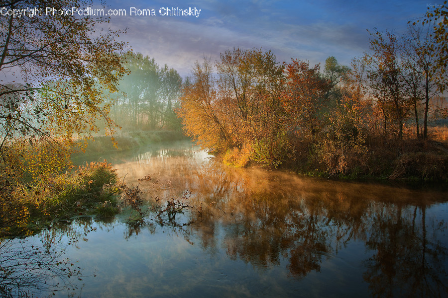 Outdoors, Pond, Water, Land, Marsh