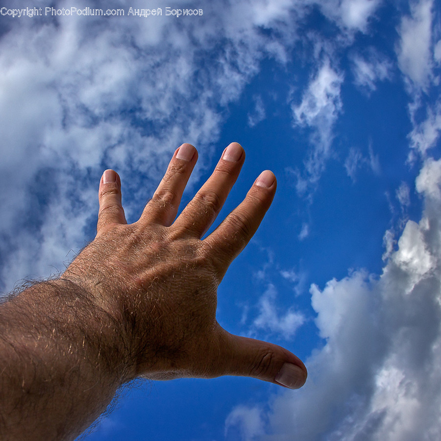Finger, Hand