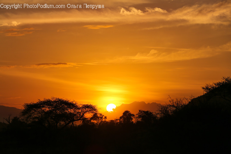 Dawn, Dusk, Red Sky, Sky, Sunrise