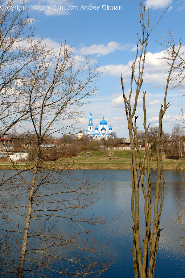 Land, Marsh, Outdoors, Swamp, Water